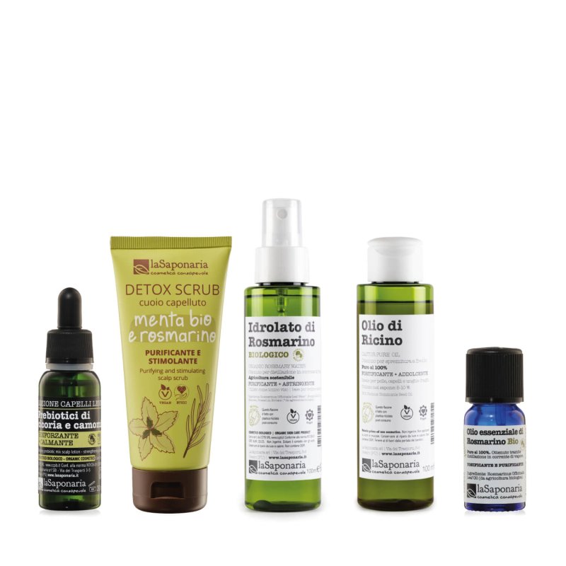 Hair Spa Routine Kit - Scalp Wellness